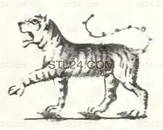ANIMAL_0180